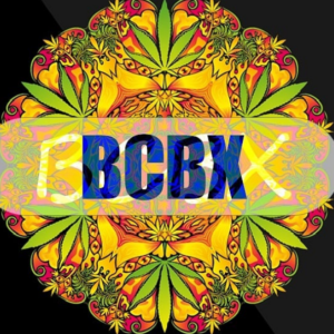 BCBXlogo