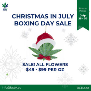 Christmas In July Boxing Day Sale
