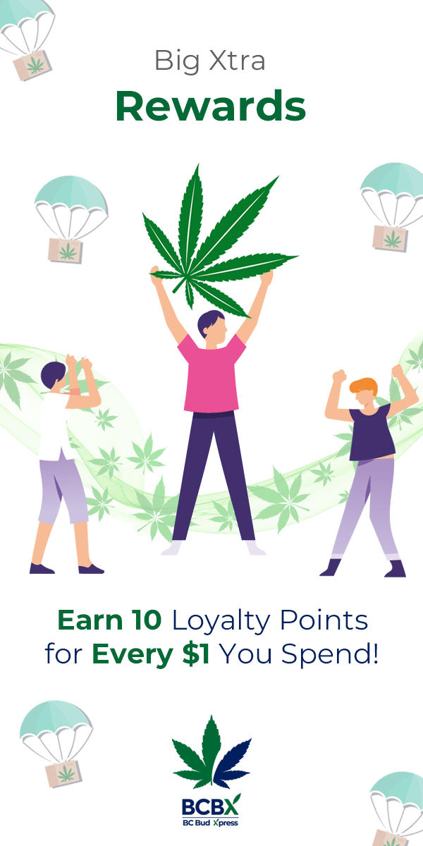 Loyalty_Program_Banner_Vertical_Vector