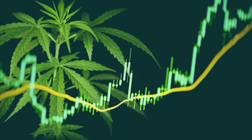 Best Marijuana Stocks 2021
