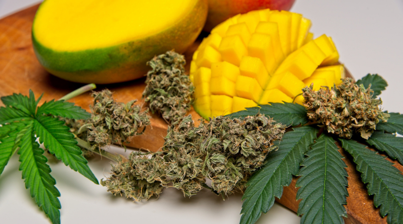Mangoes and Marijuana