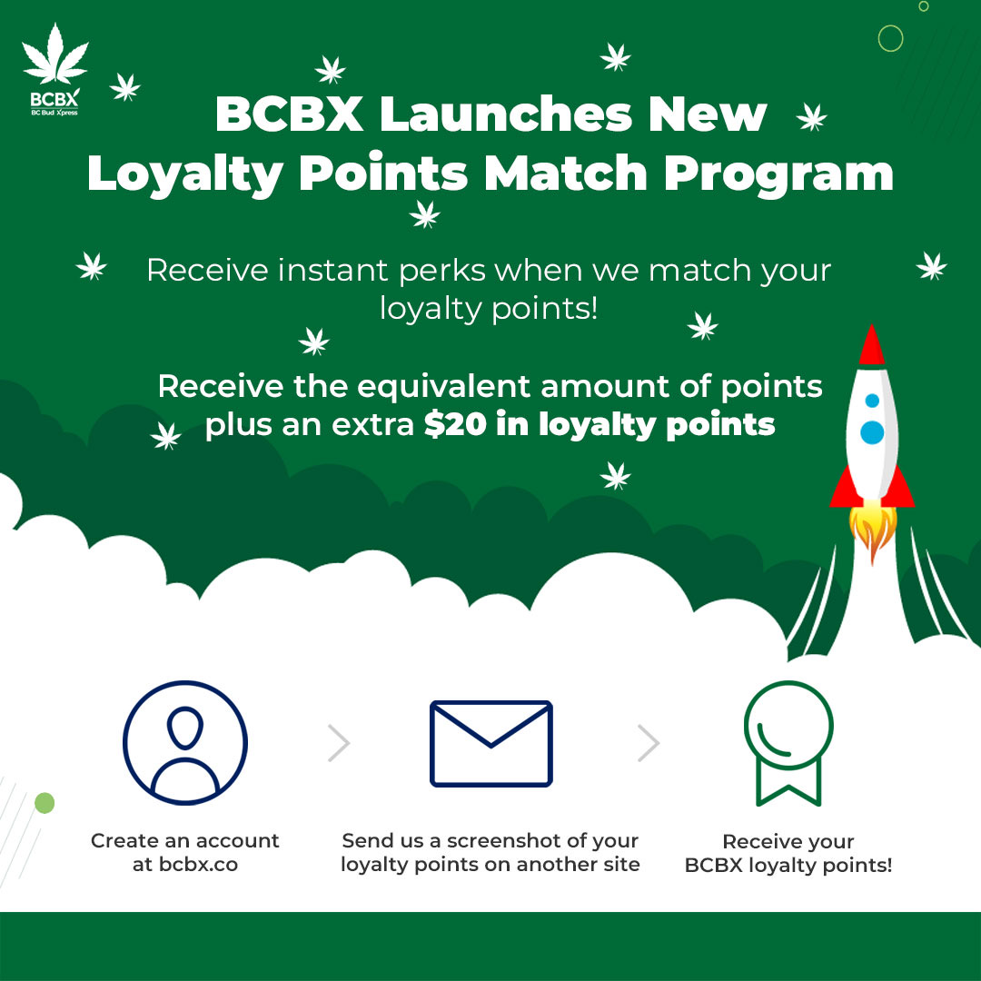 points match program launch promo banner