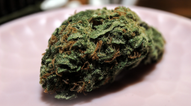 The Best Cannabis Strains for Beginners
