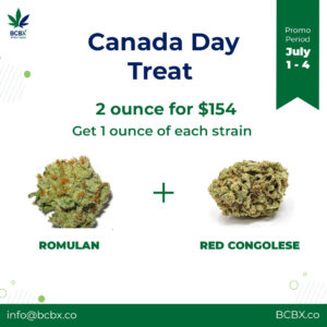 Canada Day 2 Ounce Sale