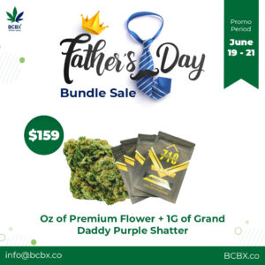 Father's Day Bundle Sale