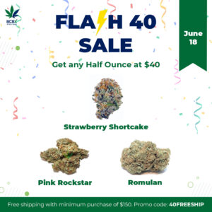 Flash 40 Sale