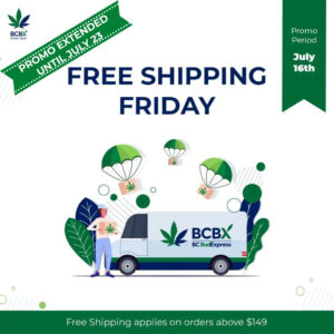 Free Shipping Friday
