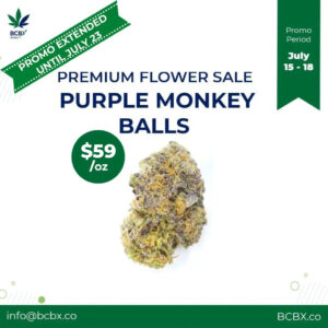 Premium Flower Sale Purple Monkey Balls