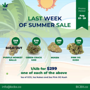 Last Week of Summer Sale