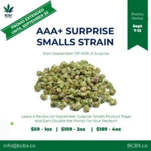 AAA Surprise Smalls Strain EXTENDED