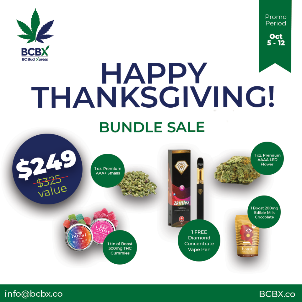 Thanksgiving Promo Sales