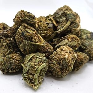 Purple Apricot GT