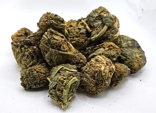 Purple Apricot GT