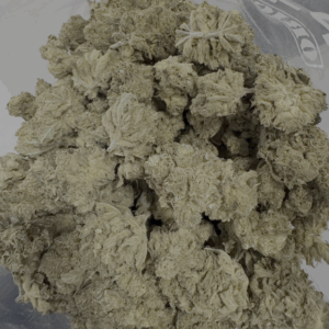 Lemon Skunk