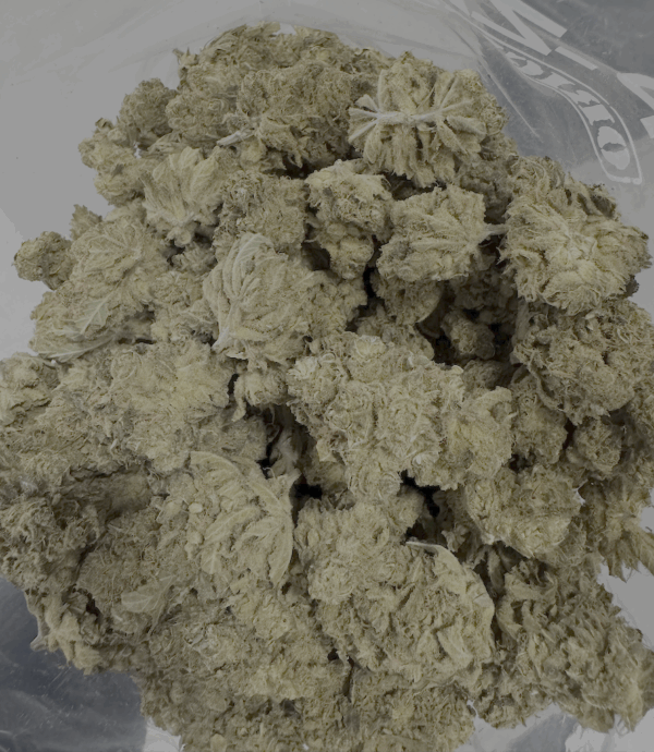 Lemon Skunk