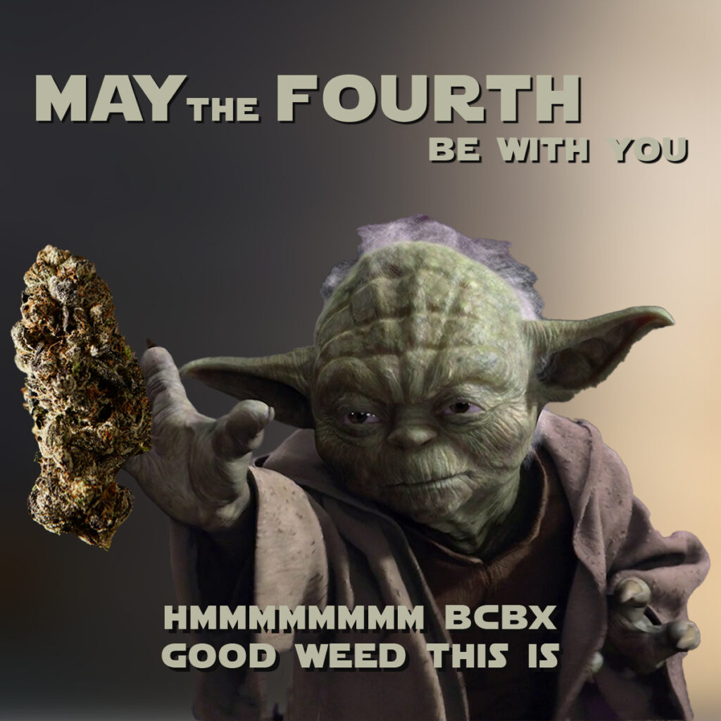 Star Wars May 4th