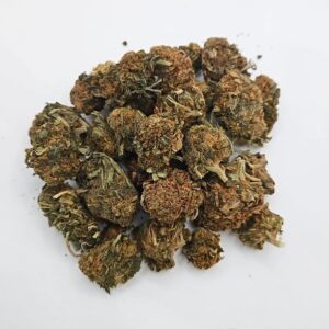 Rockstar Kush GL