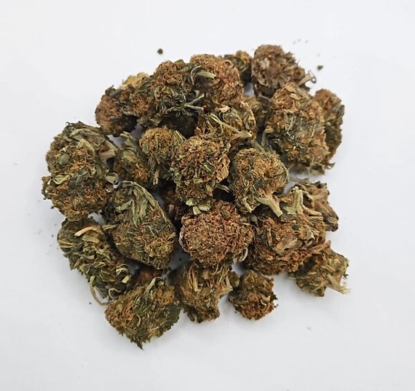 Rockstar Kush GL