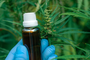 Scientist holding CBD cannabis oil bottle