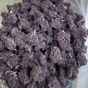 Tropicana Cherry Smalls