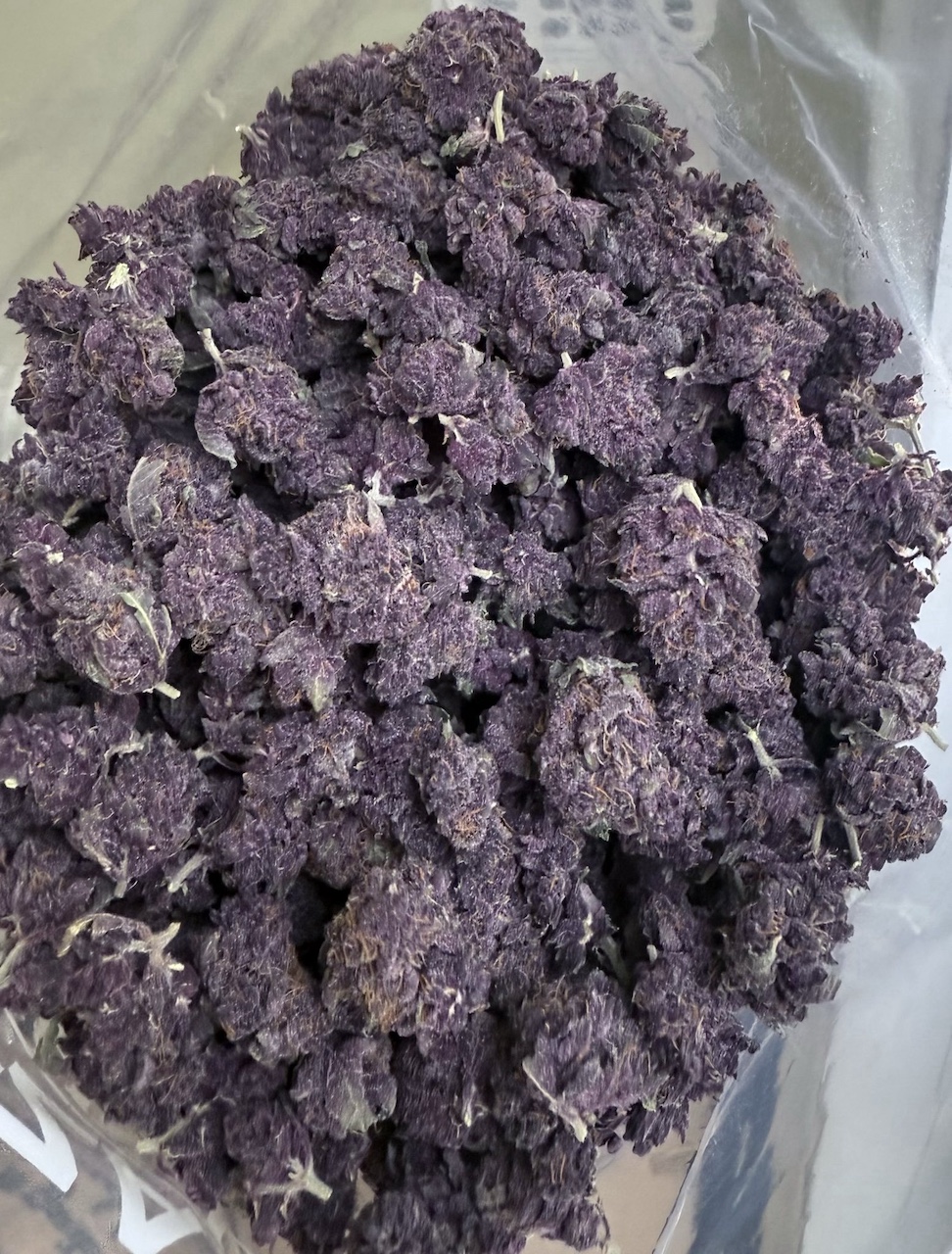 Tropicana Cherry Tropicana Cherry Smalls