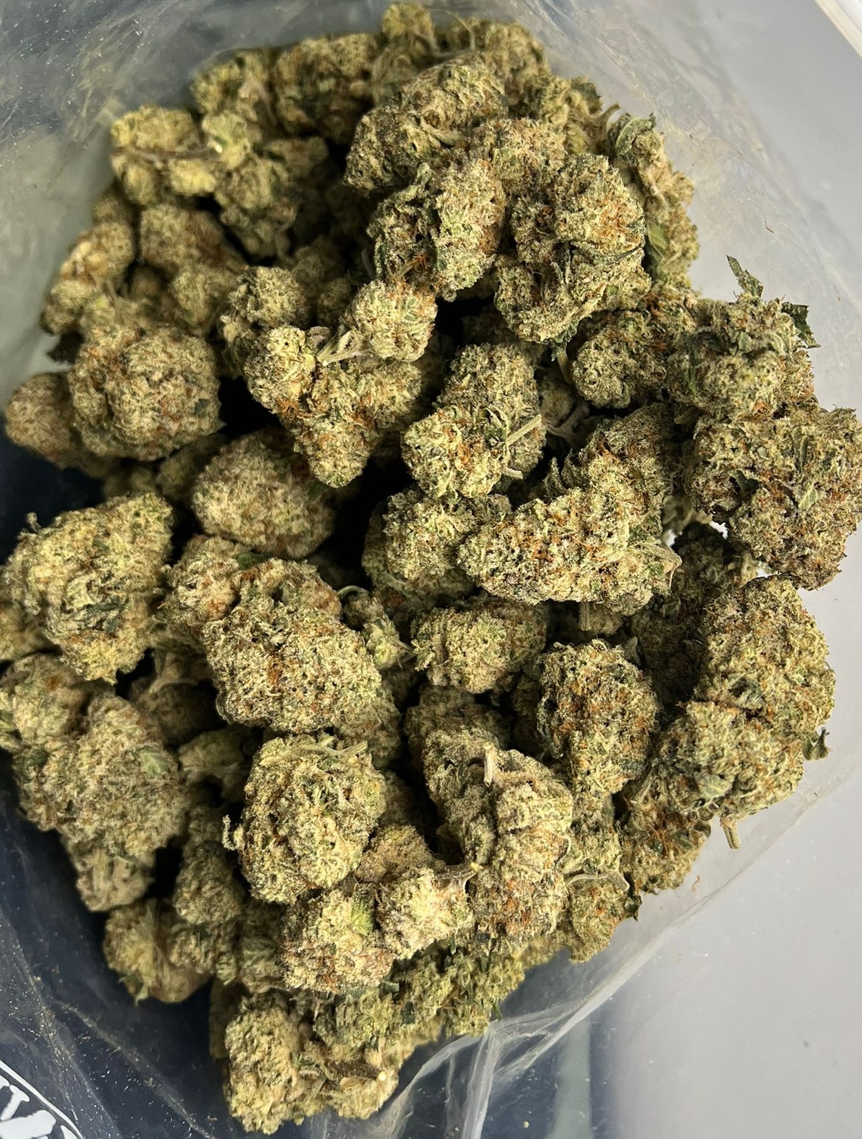 Donkey Butter22 Donkey Butter AAA