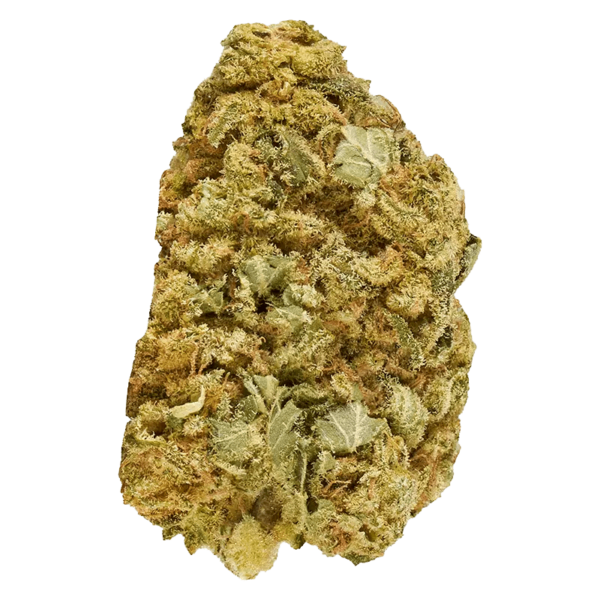 Mazar Kush