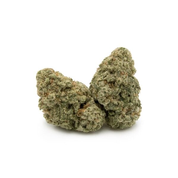 Alien-Cookies