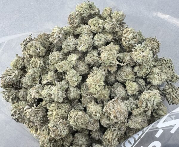 King Louie