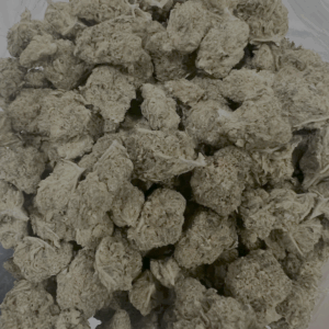 GSC