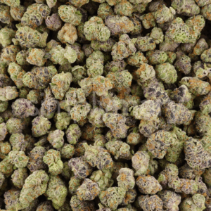 Glitter Bomb strain buds with sparkling trichomes – BCBX.delivery