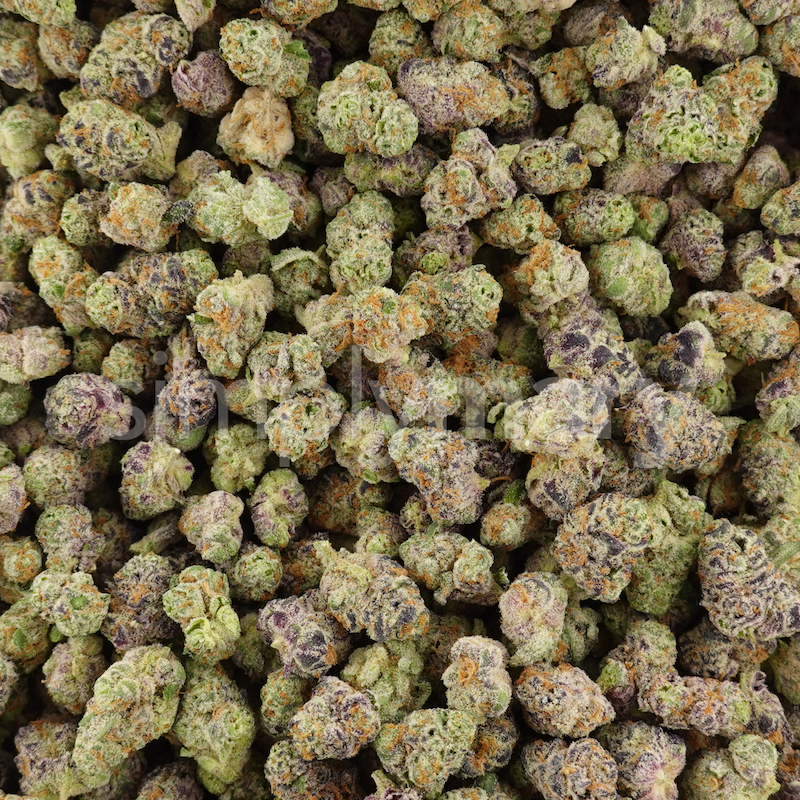 Glitter Bomb Glitter Bomb strain buds with sparkling trichomes – BCBX.delivery