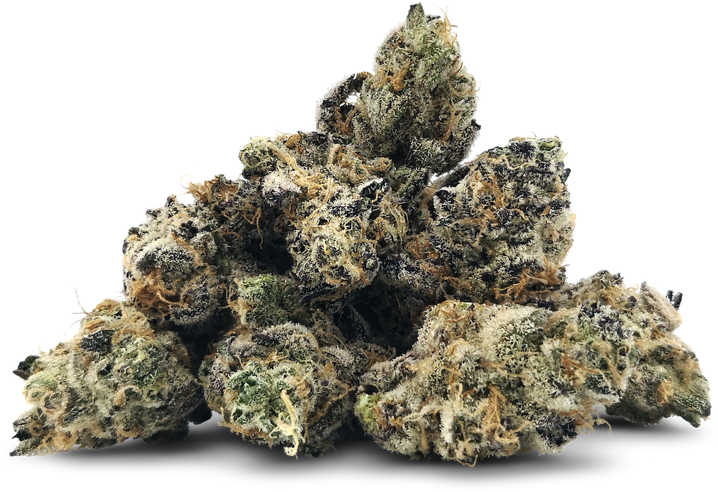 Blue Venom Smalls Blue Venom Smalls