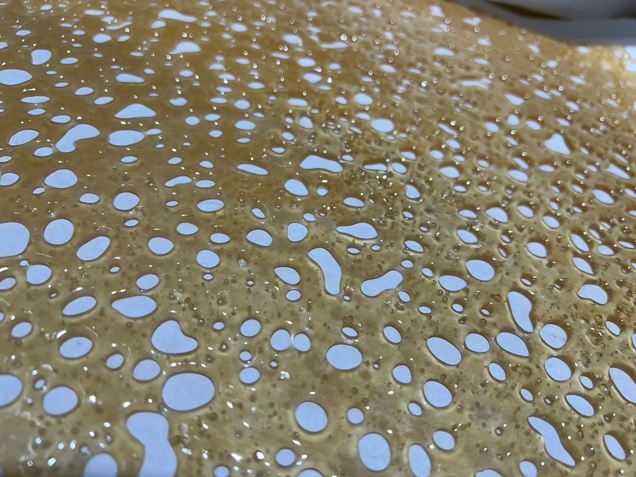 Alien OG Premium Shatter Alien OG Premium Shatter