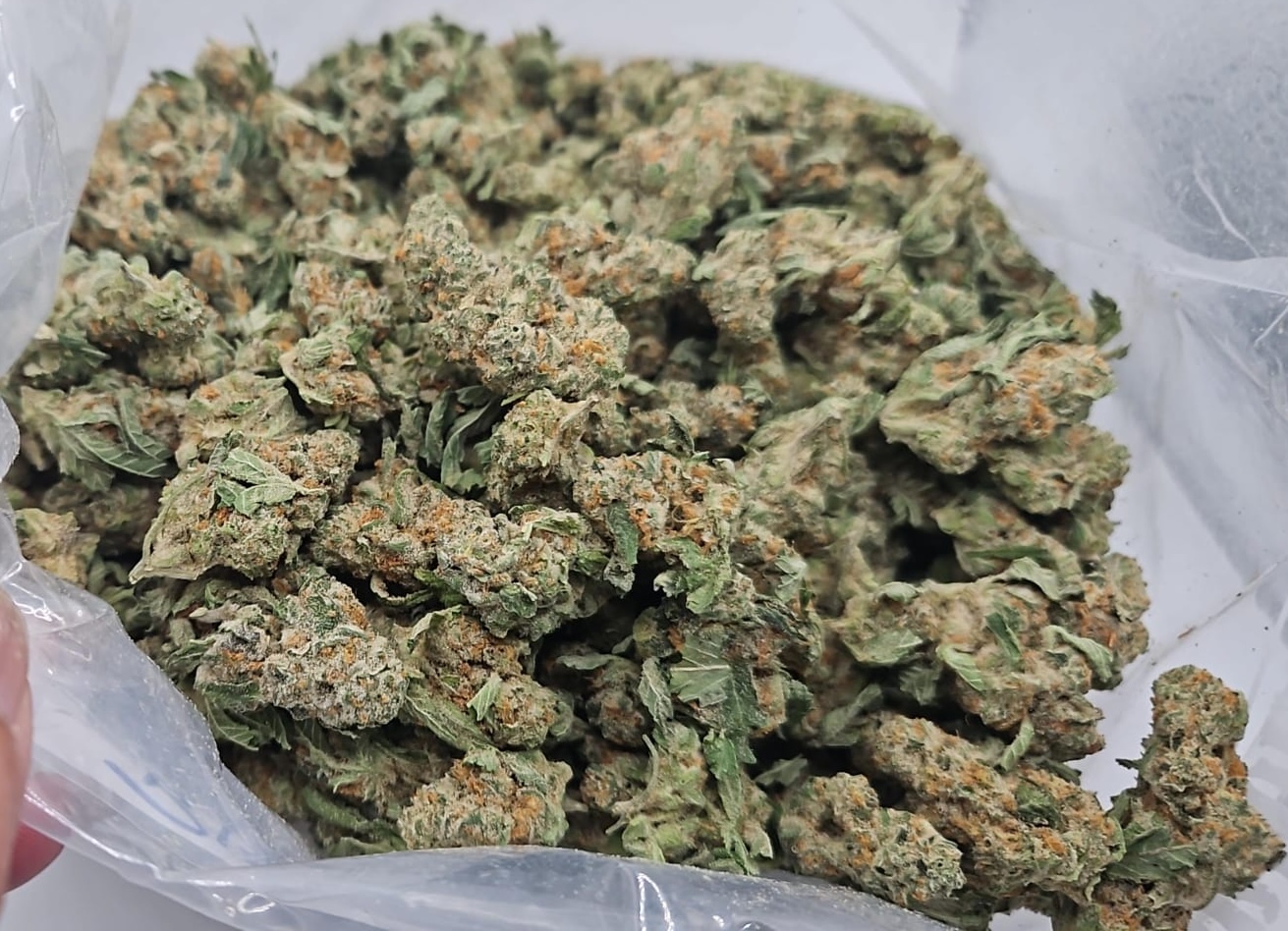 Bluebomber Blue Bomber