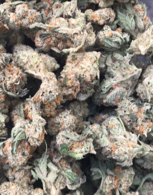 Gastronaut Gastronaut