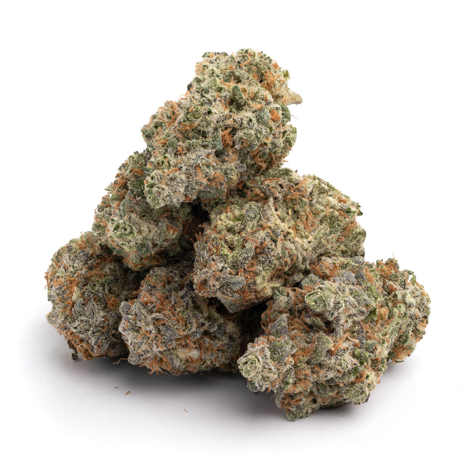 Great-White-Shark-Strain AAAA Great White Shark Strain